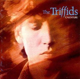 The Triffids – Calenture (Vinyl LP Album Stereo, 1987)
