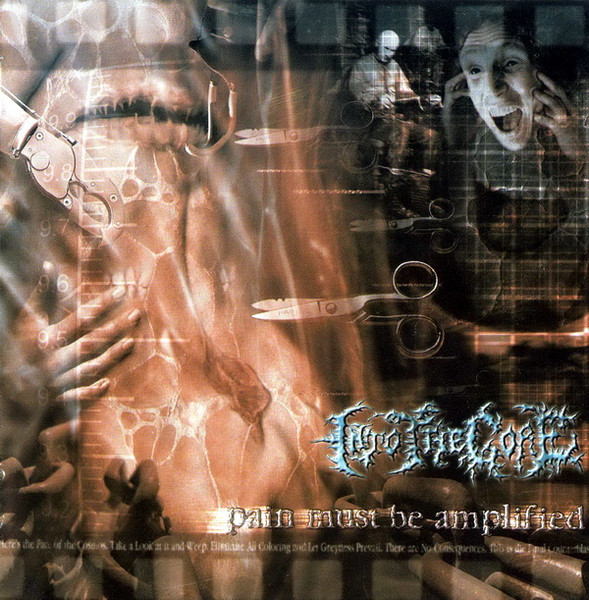 Into The Gore – Pain Must Be Amplified (CD Album Stereo, 2001)