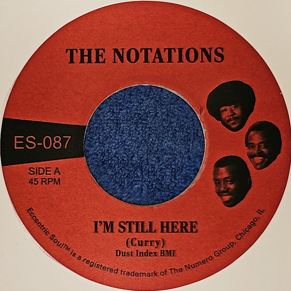 The Notations – I'm Still Here / What More Can I Say (Vinyl 7" 45 RPM, 2025)