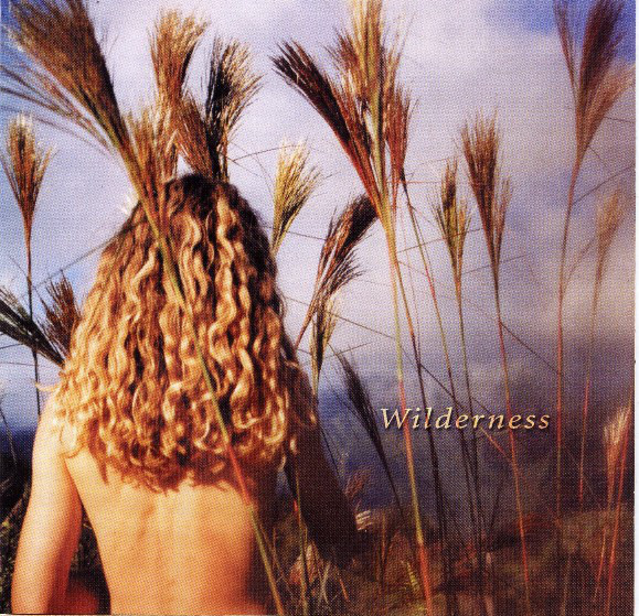 Sophie B. Hawkins – Wilderness (CD Album Enhanced, 2004)